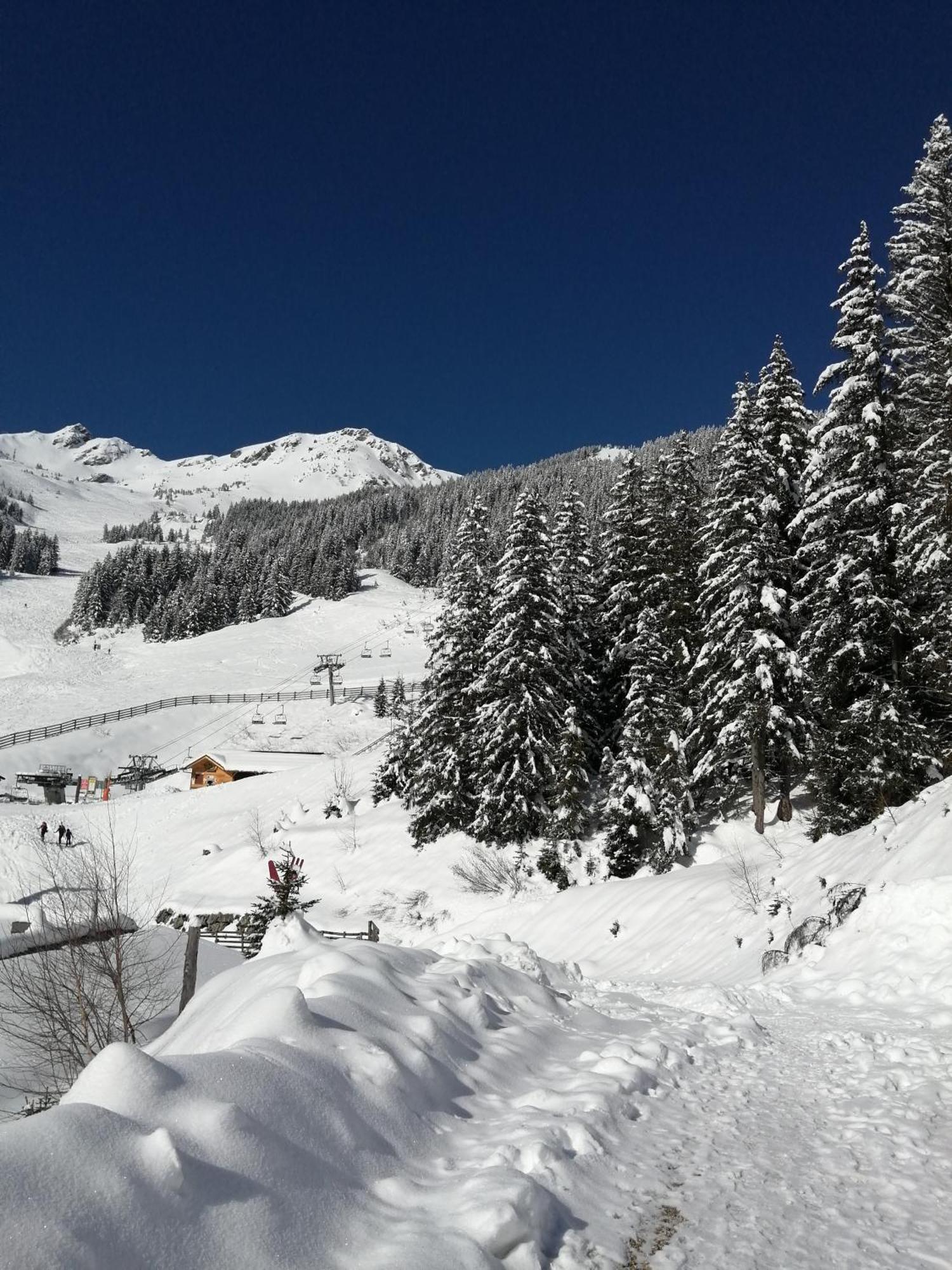 Superbe Studio Aux 7 Laux La Ferriere  Exterior photo